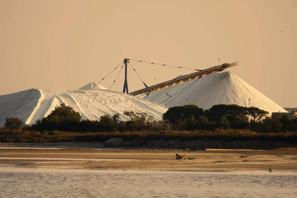 Local Operação Salina Sal Marinho Aigues Mortes Com Grandes Máquinas — Fotografia de Stock