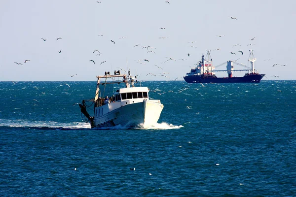 Barco Pesca Profesional Entra Puerto Rodeado Muchas Gaviotas Francia — Foto de Stock