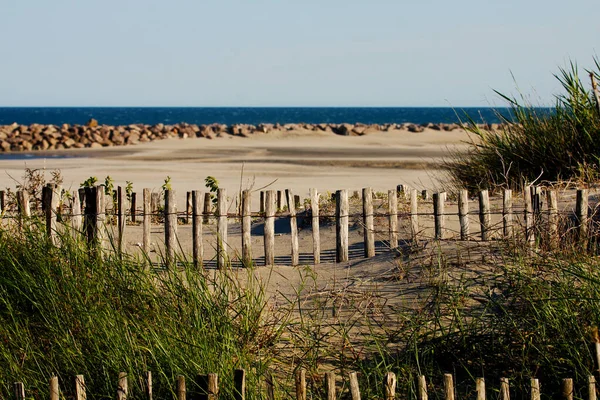 Plaża Wydmami Drewnianym Ogrodzeniem — Zdjęcie stockowe