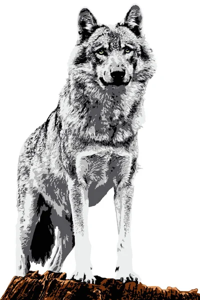 Ein Männlicher Europäischer Wolf Steht Auf Einem Baumstamm lizenzfreie Stockbilder