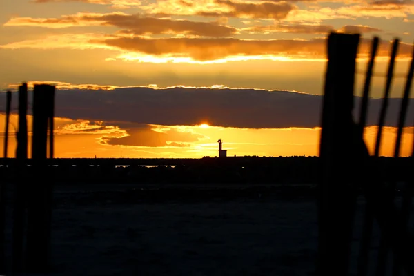 Strand — Stockfoto