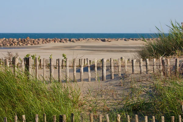 Strand — Stockfoto