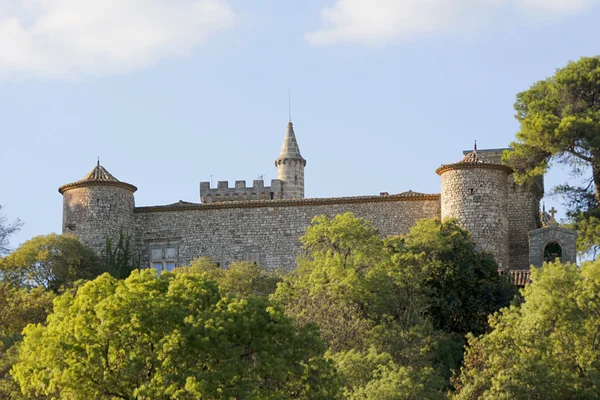 Castillo Francia — Foto de Stock