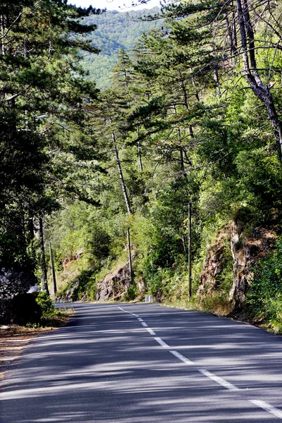 Strada di campagna — Foto Stock