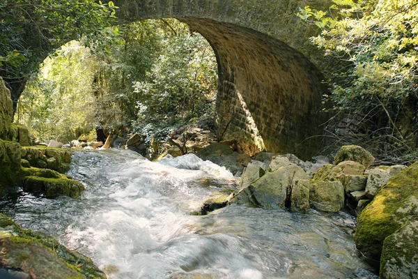 Şelale — Stok fotoğraf