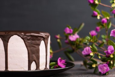 Pembe kremalı pasta