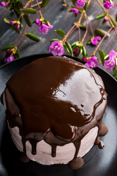 Torta cremosa rosa — Foto Stock