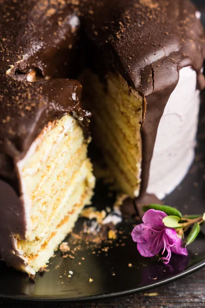 Pembe kremalı pasta — Stok fotoğraf
