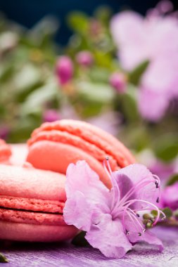 Ahşap arka plan üzerinde parlak macaroons