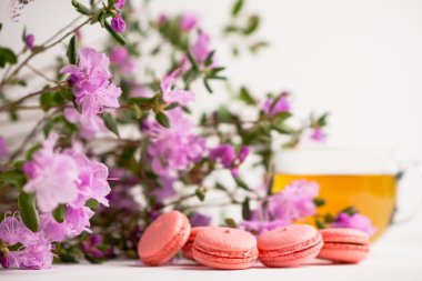 Beyaz arka plan üzerinde pembe macaroons