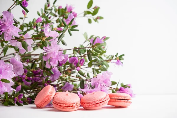 Pink macaroons on the white background — Stock Photo, Image