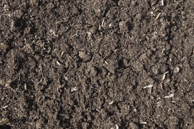 toprak doku arka plan