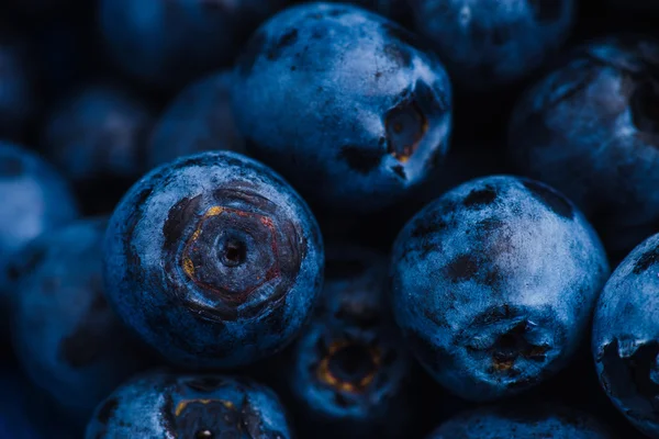 Fresh riped blueberries — Stock Photo, Image