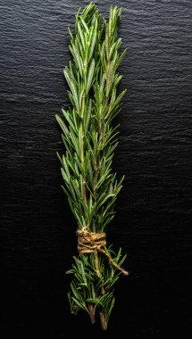 Kırsal arka planda bir sürü yeşil biberiye dalı var. Yakın plan çekim. Seçici odak. 