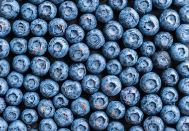Taze toplanmış yabanmersini. Seçici odak.