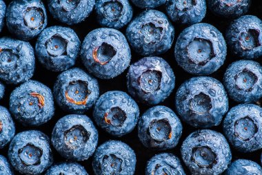 Su damlalı taze toplanmış yaban mersini. Seçici odak.