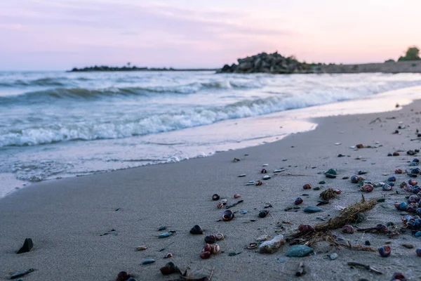 Línea Costera Las Luces Del Atardecer Con Foco Los Detalles — Foto de Stock