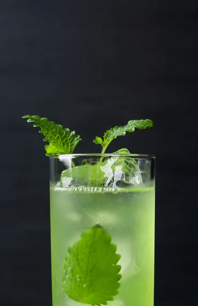 Зеленый коктейль с мятой — стоковое фото