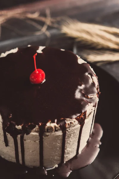 Torta cremosa con la glassa al cioccolato — Foto Stock