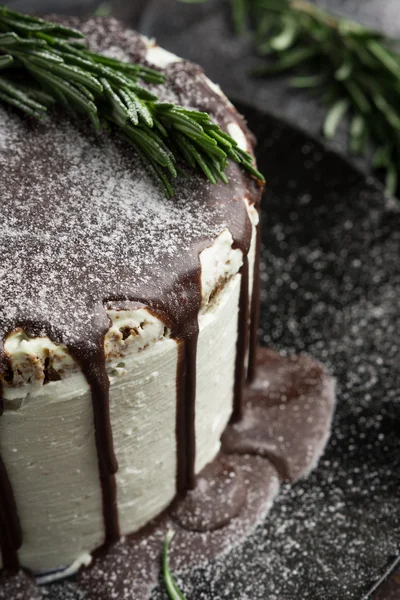 Gâteau crémeux avec glaçage au chocolat — Photo