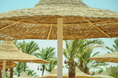 Sahilde saman şemsiyesi