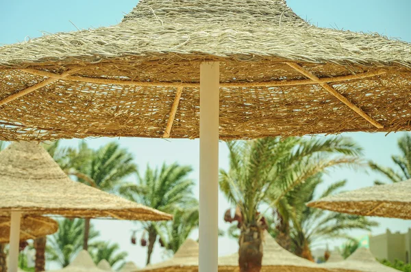 Sahilde saman şemsiyesi