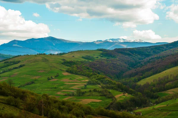 Karpat Dağları manzarası