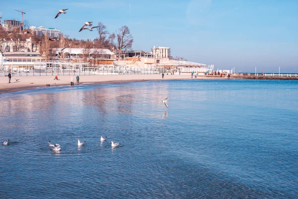 Martılar denize (Odeassa, Ukrayna)