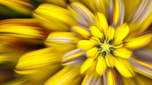 Egzotik çiçek. Çiçek yaprakları dansı.