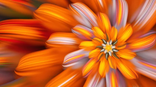 Egzotik çiçek. Çiçek yaprakları dansı.