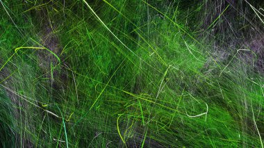 3d soyut bilgisayar üretilmiş fraktal dizayn. Fraktal hiç bitmeyen bir desen. Fraktallar, farklı ölçeklerde kendine benzeyen sonsuz derecede karmaşık desenlerdir.