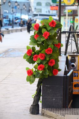 Sokakta kırmızı çiçek.
