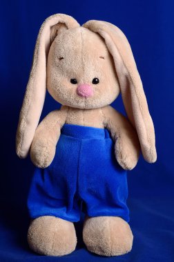 yumuşak oyuncak tavşan.