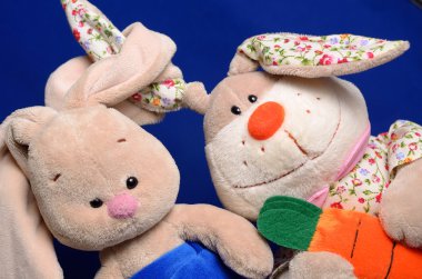 yumuşak oyuncak tavşan.