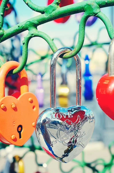 Hermosas cerraduras de boda en el árbol de hierro del amor . — Foto de Stock