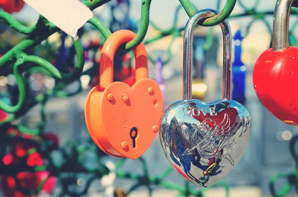 Beautiful wedding locks on the iron tree of love. — Stock fotografie