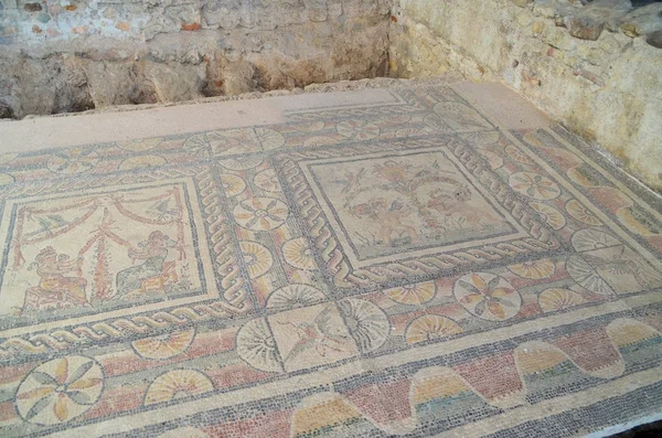 Roman mosaics — Stock Photo, Image