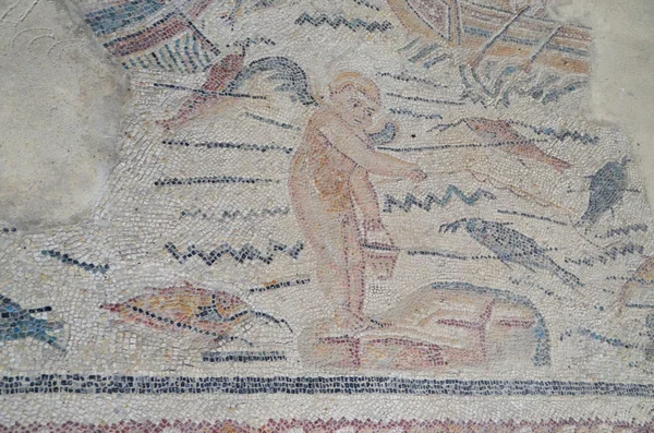 Roman mosaics — Stock Photo, Image
