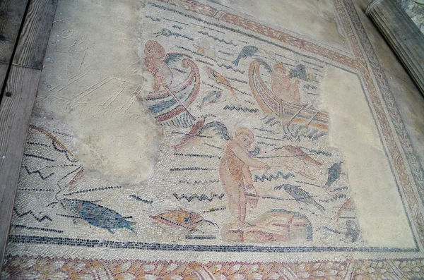 Roma mozaikleri — Stok fotoğraf