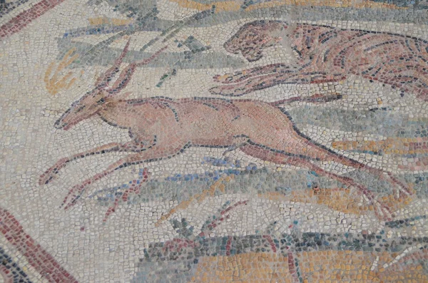 Roman mosaics — Stock Photo, Image