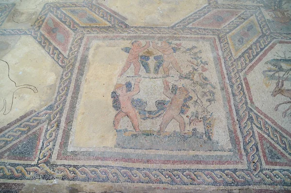 Roman mosaics — Stock Photo, Image