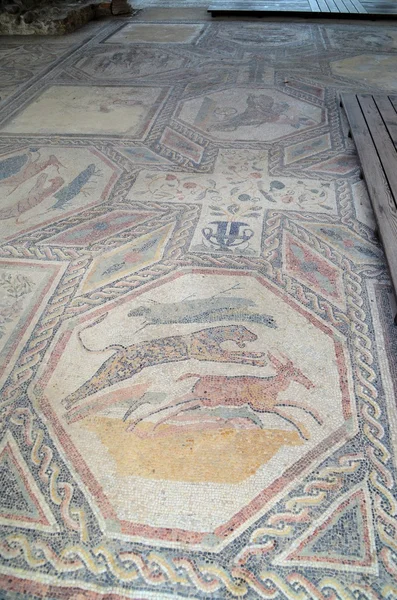 Roman mosaics — Stock Photo, Image