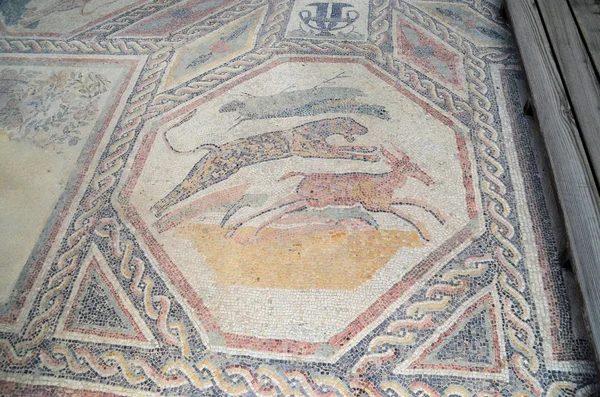 Roman mosaics — Stock Photo, Image