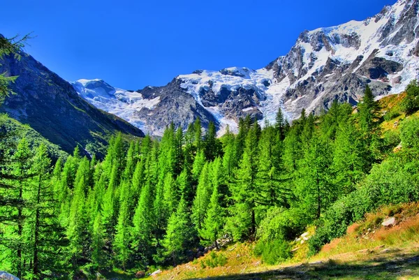 Skalista góra wiosna — Zdjęcie stockowe
