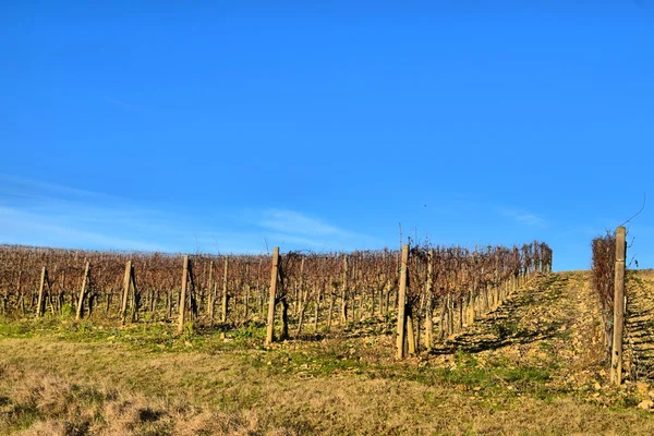 Scena invernale toscana — Foto Stock