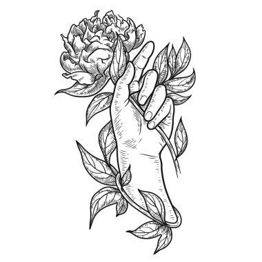 El ele tutuşan şakayık, klasik illüstrasyon, tişört, kart, poster tasarımcısı için uygun