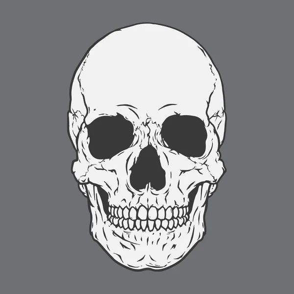 Human Skull Skeleton Head Hand Drawn Line Art Vector Illustration — стоковий вектор