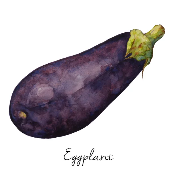 Eggplant Watercolor Sketch, Food Design, Vector Illustration. — Stock Vector