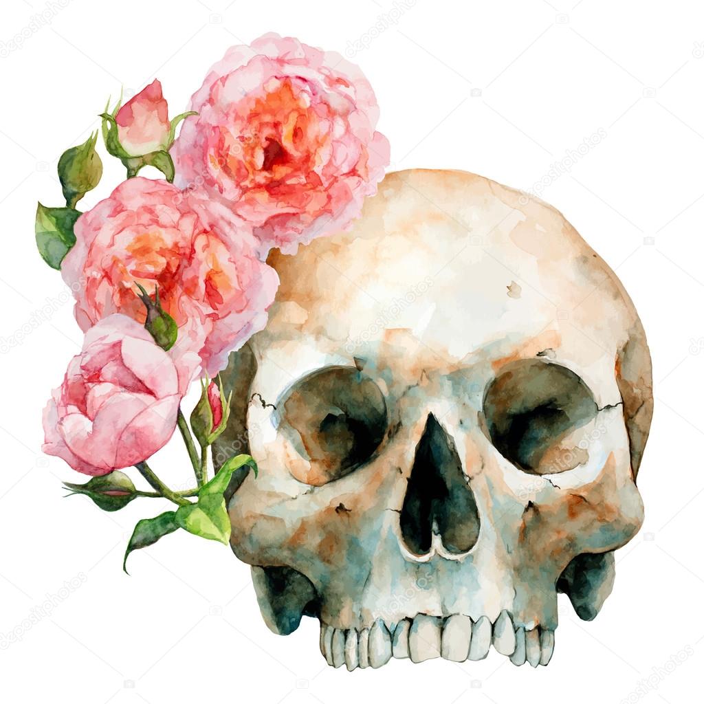 Human Skull With Pink Roses, Halloween, Day Of The Dead, Vector Illustration.