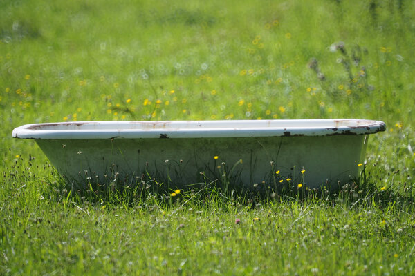 Ванна на лугах
